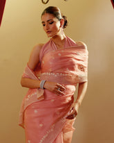 Organza Hand Embroidary Saree